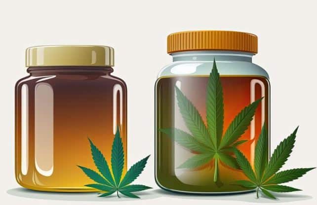 Huile de Cannabis vs. Huile de CBD : Quelle est la différence ?